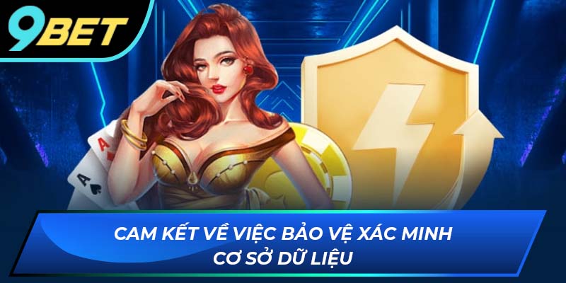 Tính bảo mật về cơ sở dữ liệu